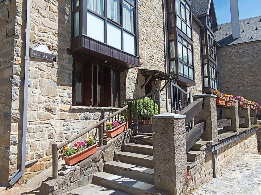 Pena Telera Petfriendly - Arafita Apartamentos El Pueyo de Jaca Bagian luar foto
